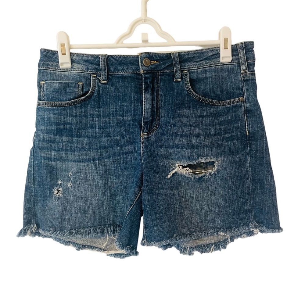 Anthropology Pilcro and‎ the Letterpress Script Distressed Shorts, Size 30